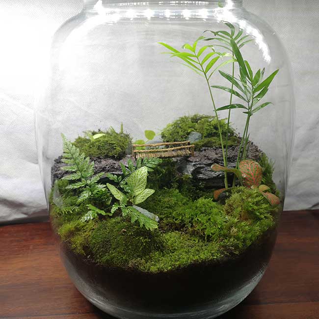 Tolga’s Bridge – Babylon Terrariums